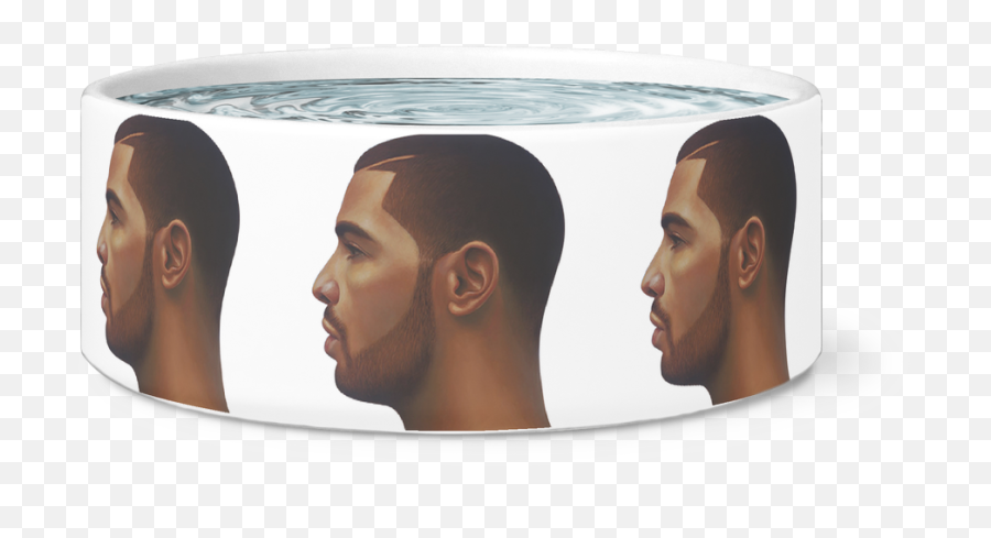 Download Drake Face Dog Bowl - Bronze Sculpture Png,Drake Face Png