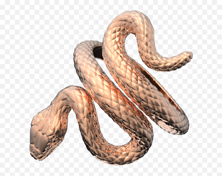 The Serpent - Serpent Png,Snake Eye Png