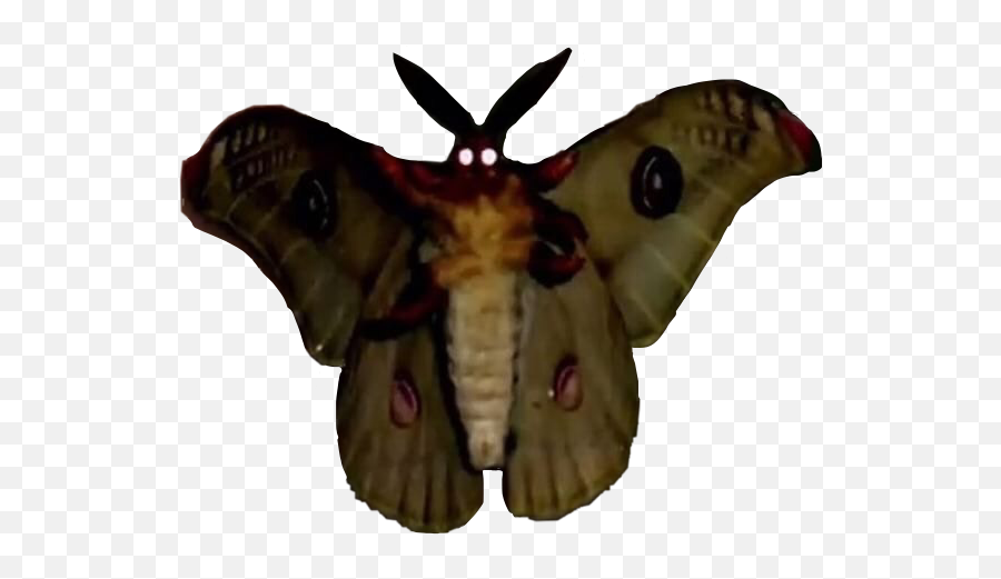 Mothman Moth Mothmeme Mothmanmeme - Moth With Glowing Eyes Png,Mothman Transparent