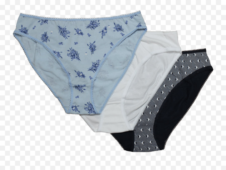 Assortment Of Cotton Bikini Cut Panties 4pc Pack - Briefs Png,Panties Png