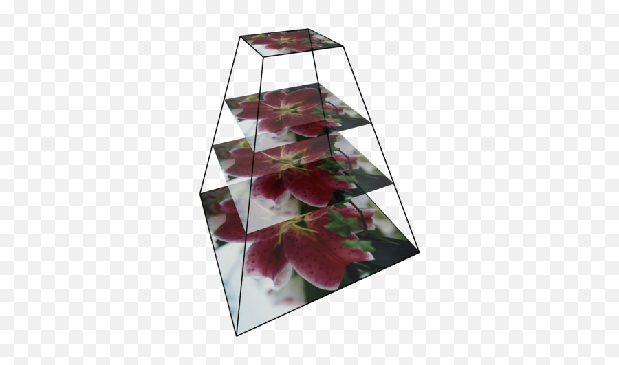 Filepyramide Image Exemplepng - Wikimedia Commons,Bougainvillea Png