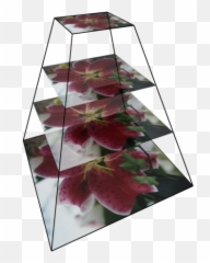 Filepyramide Image Exemplepng - Wikimedia Commons,Bougainvillea Png