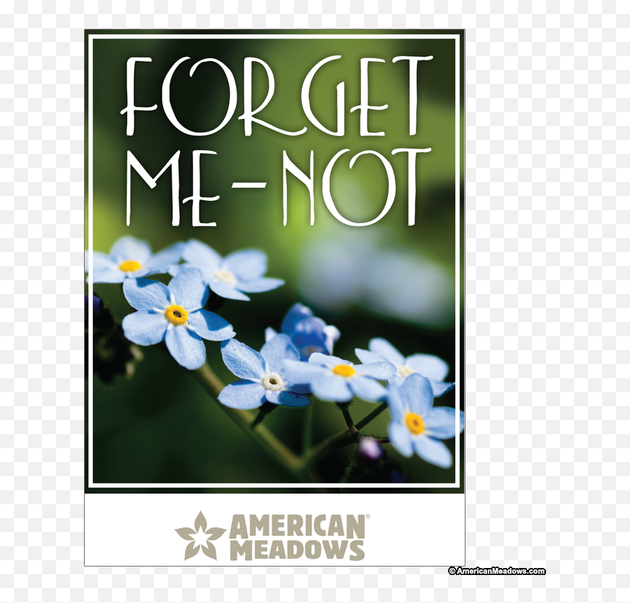 Forget Me Not Full Size Seed Packet - American Meadows Png,Forget Me Not Png