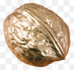 Walnut Png - Png,Walnut Png