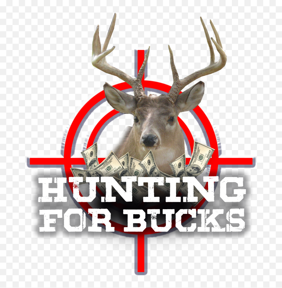 Hunting For Bucks - Sca Gaming Reindeer Png,Bucks Logo Png