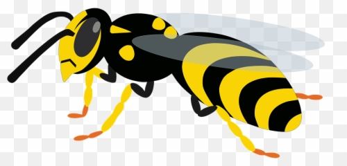 Wasp Fly Insect - Free Vector Graphic On Pixabay Bee Png,Hornet Png