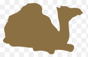 Camel Hump Hunch Silhouette - Transparent PNG u0026 SVG vector file Sitting Silhouette