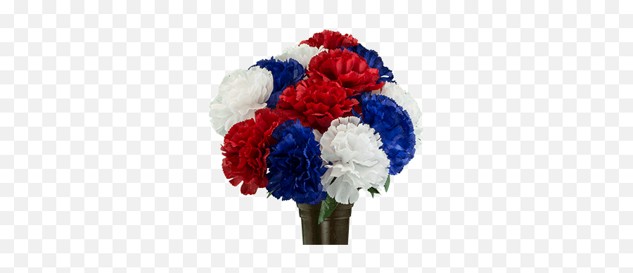 Red White And Blue Carnation - Party Supply Png,Carnation Png