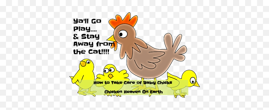 How To Take Care Of Baby Chicks Basics - Take Care Of Baby Chicks Png,Baby Chick Png