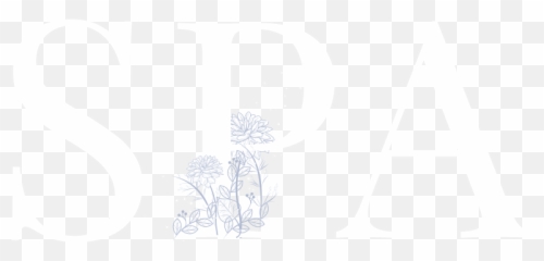 Kozo Hair Day Spa - Dot Png,Spa Png