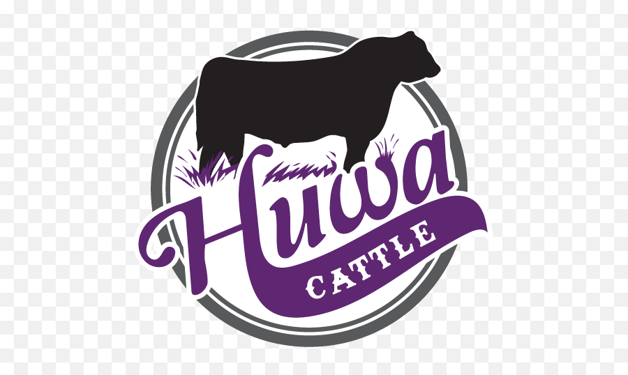 Huwa Cattle - Huwa Cattle Logo Png,Cattle Brand Logo