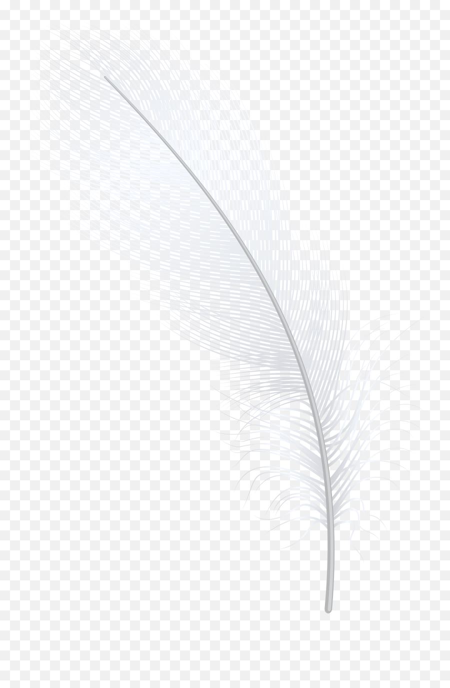 White Feathers - Darkness Png Download Original Size Png Animal Product,Indian Feather Png