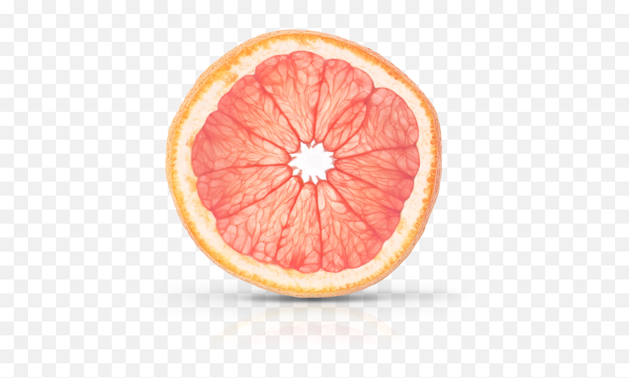Grapefruit - Orangelo Png,Grapefruit Icon