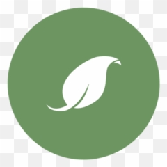 Direct Lumber And Door Offsite Manufacturing Program - Songbirds png