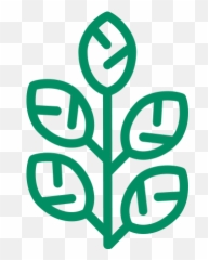 Mint Mud - Language Png,Oprah Icon
