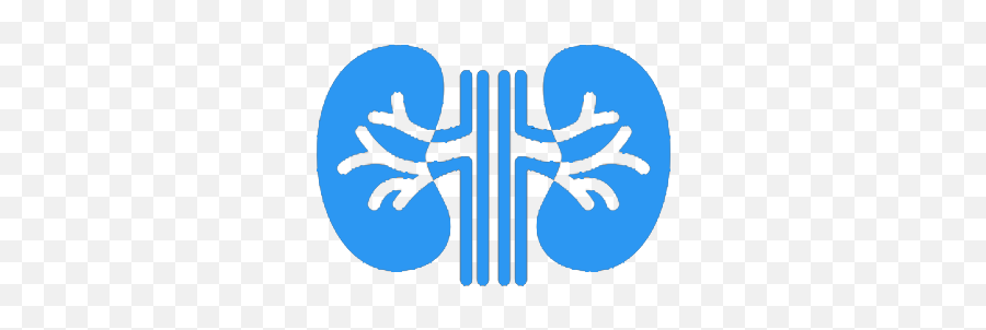 Index Of Imgs - Language Png,Nephrology Icon