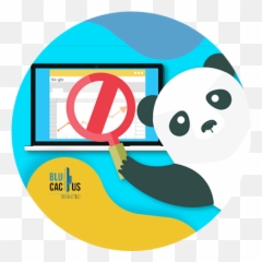 36 Questions To Ask Seo Agency In 2021 Hiring An Png