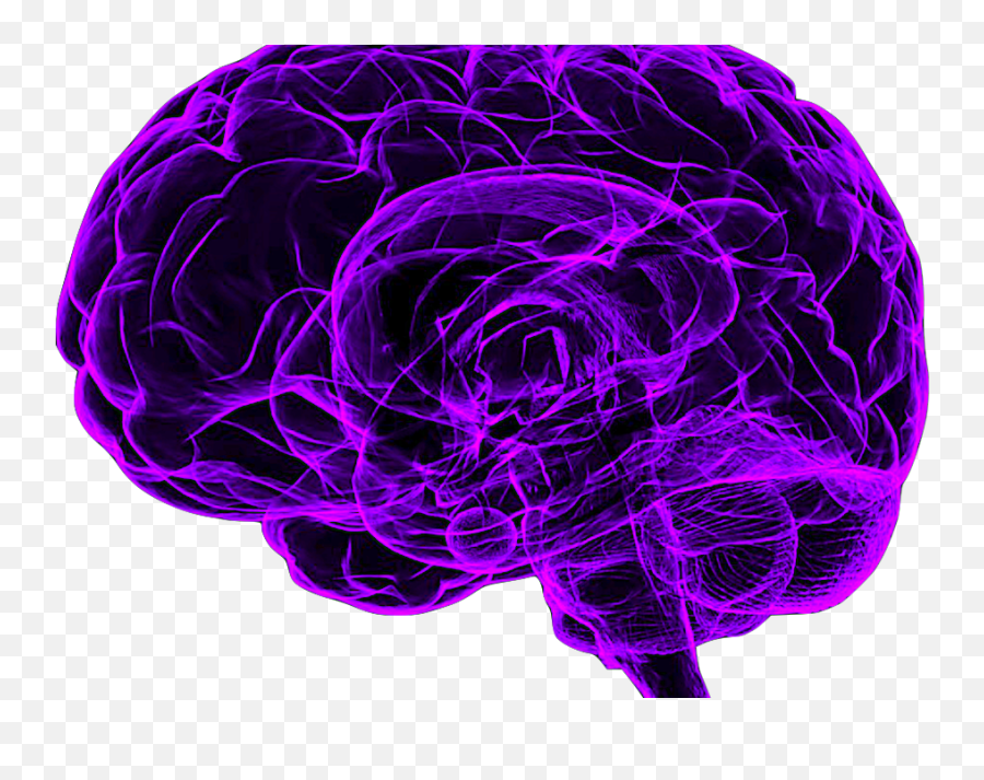Download Mindfulness Meditation Made Simple - Purple Brain Purple Brain Png,Brain Transparent Background