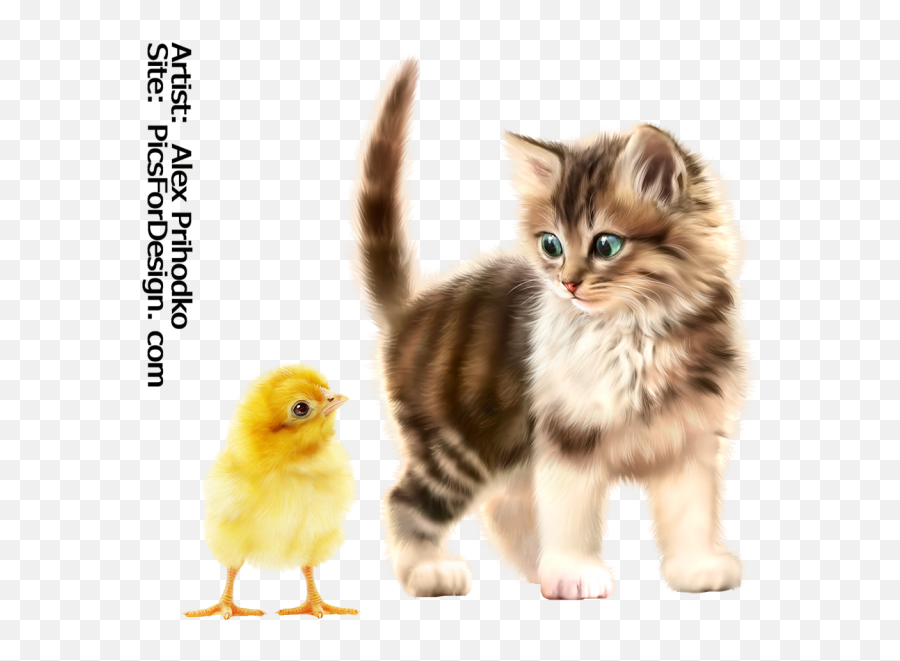 Download Hd Kitty - Chick Kitten Transparent Png Image Kitten,Chick Png