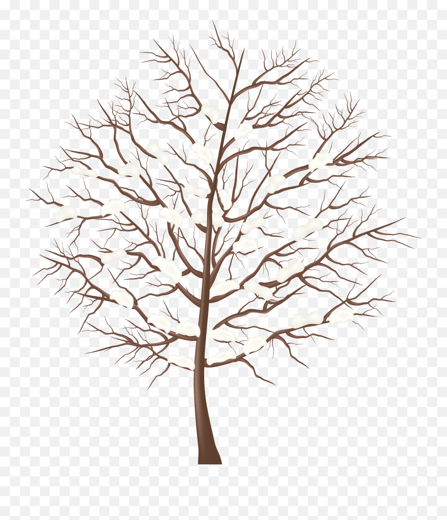 Transparent Background Winter Trees Clipart Png Snow