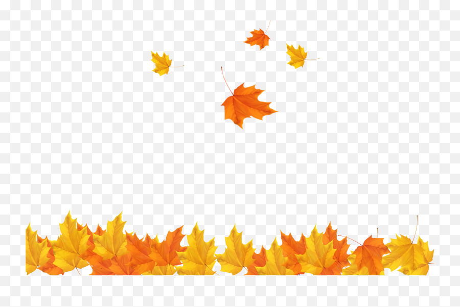 Freeuse Download Autumn Leaves - Autumn Leaves Free Png,Autumn Leaves Png