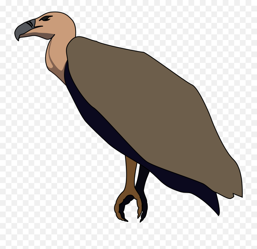 Library Of Turkey Vulture Vector Free - Transparent Turkey Vulture Clipart Png,Vulture Png