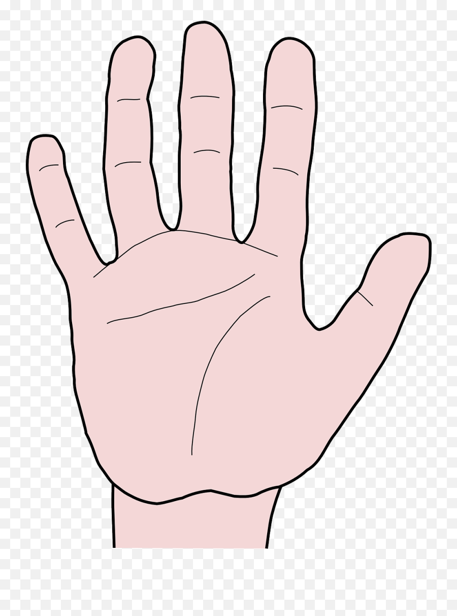 Hand Fingers Thumb Index - Vektor Tangan 5 Jari Png,Pointer Finger Png