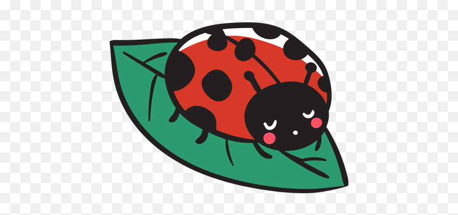 Cute Ladybug Resting Leaf - Transparent Png U0026 Svg Vector File Cartoon Lady Bug Outline,Ladybug Png