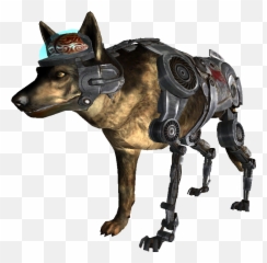 New - Fallout New Vegas Dog Png,Fallout New Vegas Png