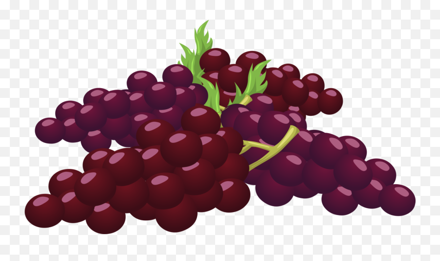 Seedless Fruitgrape Seed Extractgrape Png Clipart - Bunch Of Grapes Clipart,Grape Png