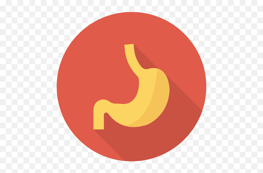 Stomach - Transparent Stomach Icon Png,Stomach Png