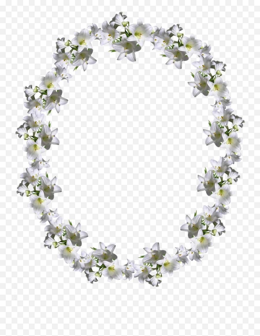 Frame Border White Lily Floral - Felicitari 27 An Casatorie Png,White Lily Png
