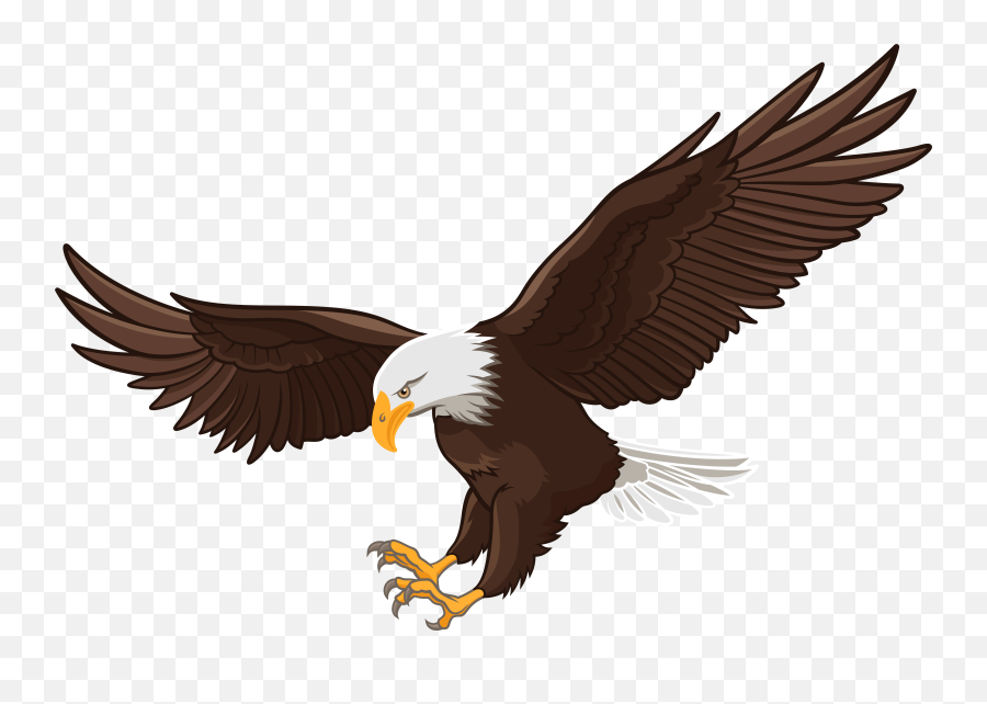 Bald Eagle Clipart Png Transparent - Eagle Clipart Png,Bald Eagle Head Png