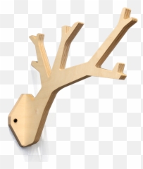 Twig - Wood png