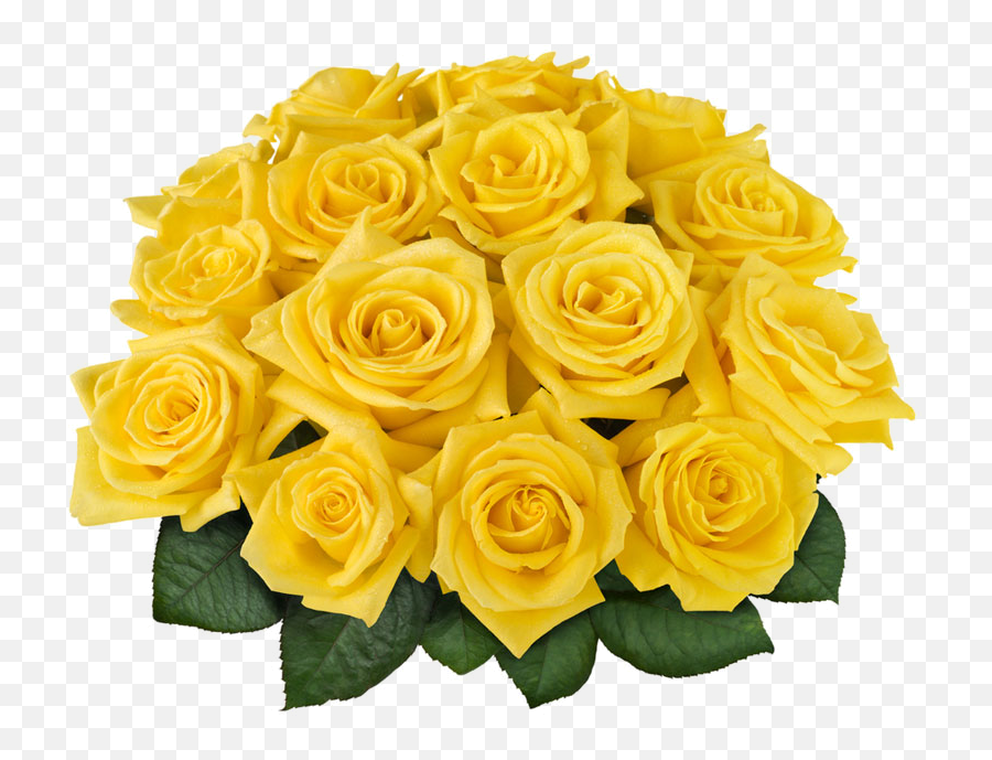 Ramo De Rosas Png - Solo Tu Puedes Sorprender Con Este 12 Yellow Roses Most Beautiful Flower Bouquet,Rosas Png