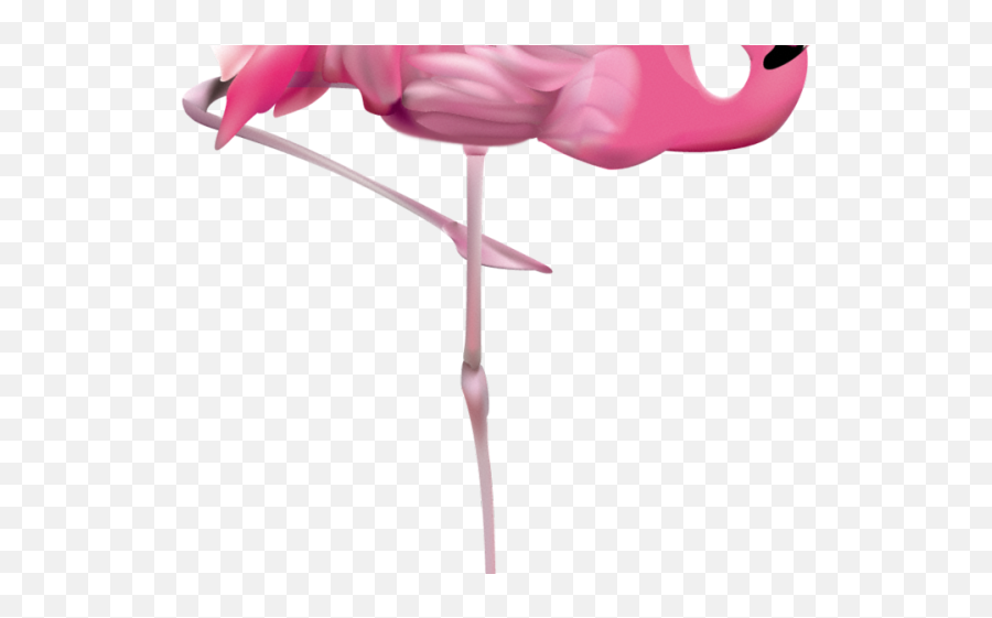 Clipart Pink Flamingo Png - Flamingo Bass Transparent Background,Flamingo Clipart Png