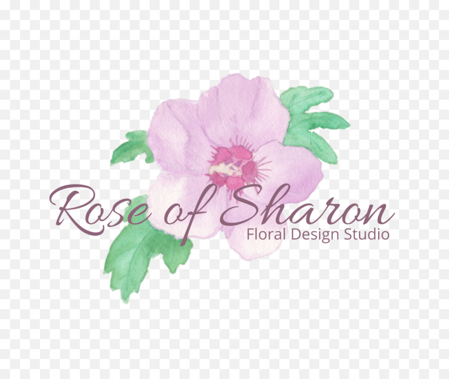 Rose Of Sharon Floral Design Studio Png Lilac