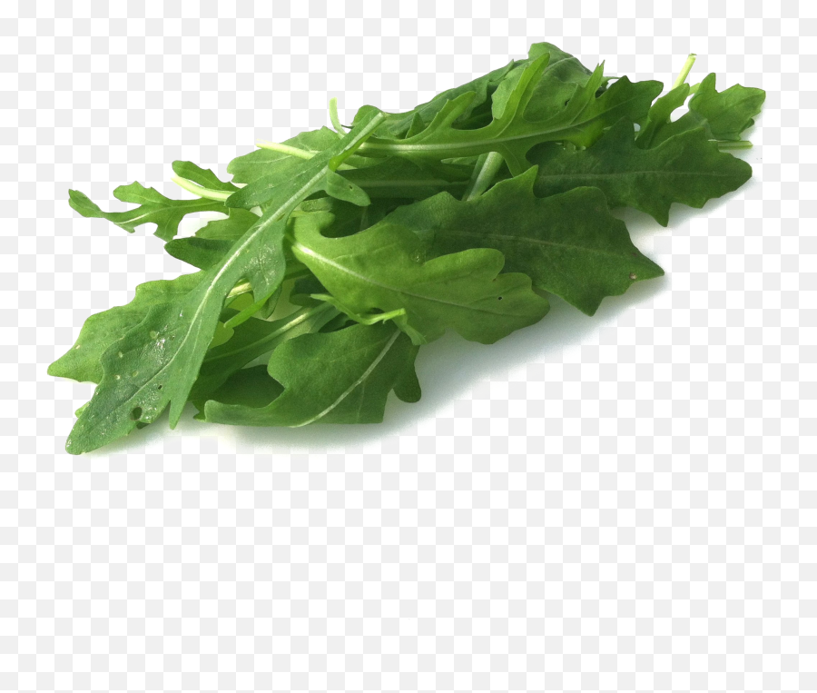 Arugula Png Transparent Images - Arugula Png,Parsley Png