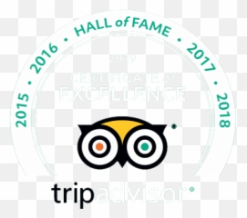 About Us Sea Spray Cruises - Tripadvisor App png