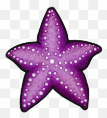 Purple Sea Star Png Image With No - Colorful Shell Clipart