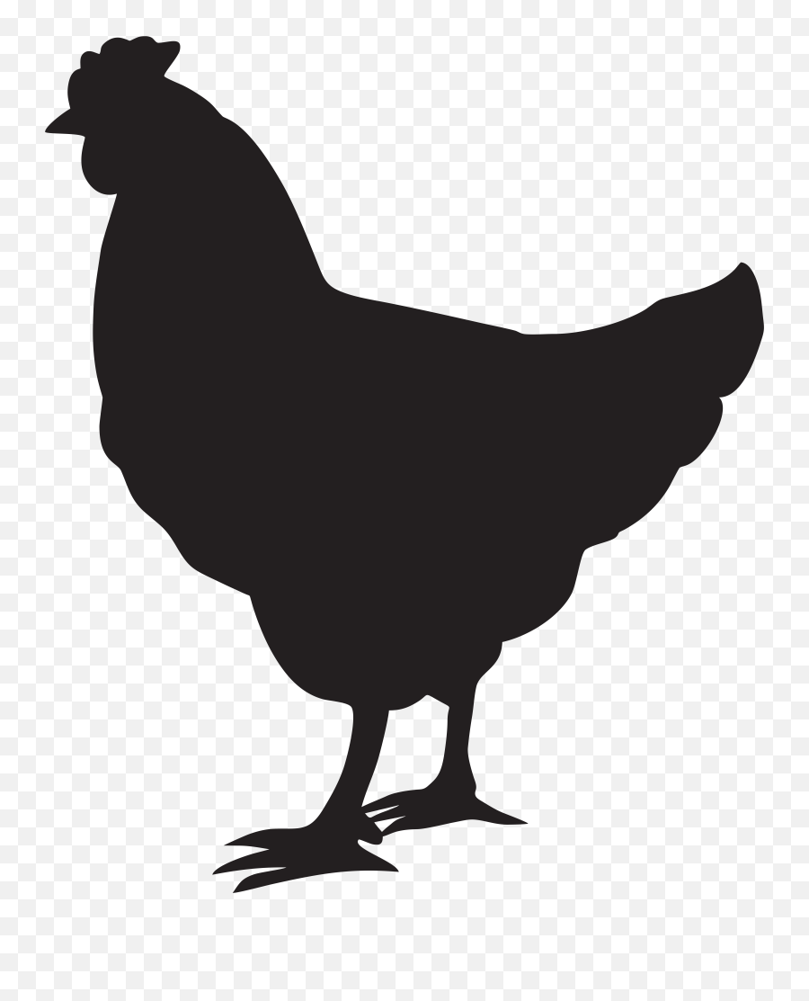 Chicken Silhouette Rooster Clip Art Png