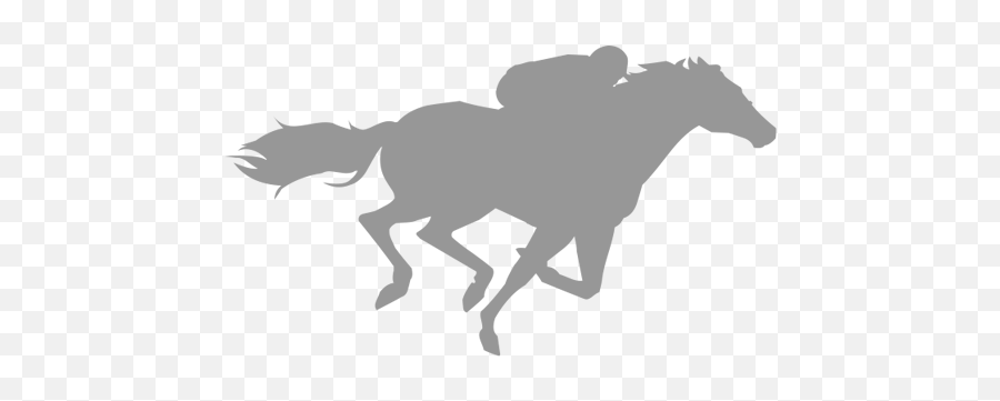 About The Author - Racehorse Silhouette Png,Racehorse Icon