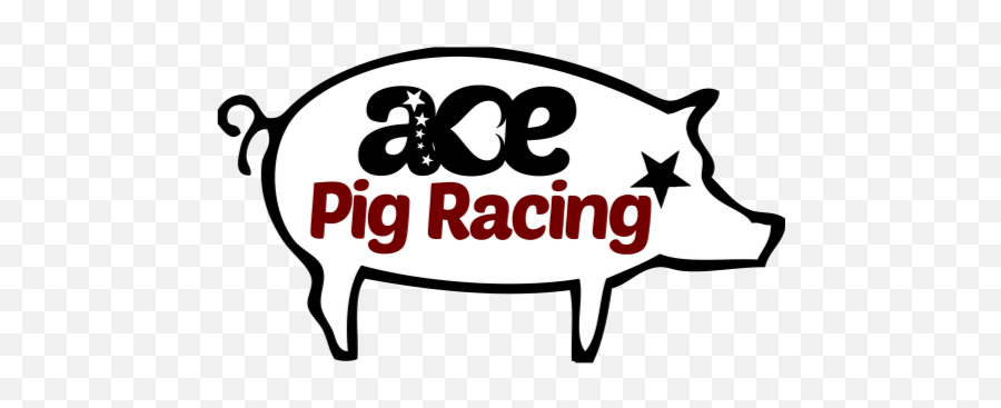 Ace Pig Racing For Nhs - Language Png,Spiderpig Icon
