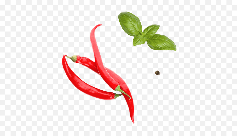 San Diego Organic Meal Prep U0026 Private Chef Deeply Nourished - Spicy Png,Spicy Icon Png