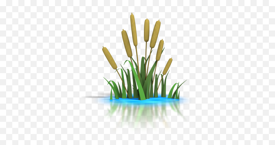 File Pond Png - Transparent Background Pond Png,Pond Png