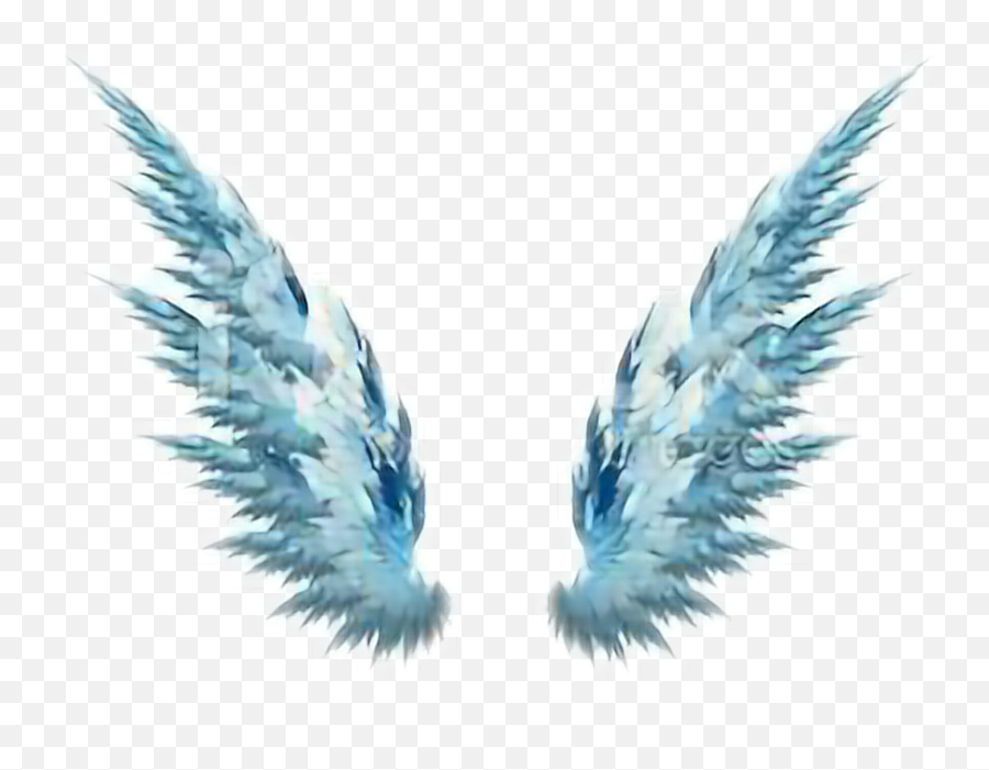 Wings Png Tumblr Transparent Collections - Wings Without A Background,Wings Png Transparent