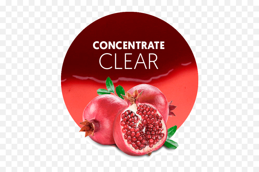 Pomegranate Concentrate Clear - Anar Fruit Png,Pomegranate Transparent