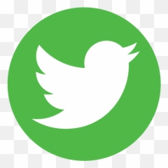 Superior Mobile Insurance Solutions - Twitter Logo Png Hd Download