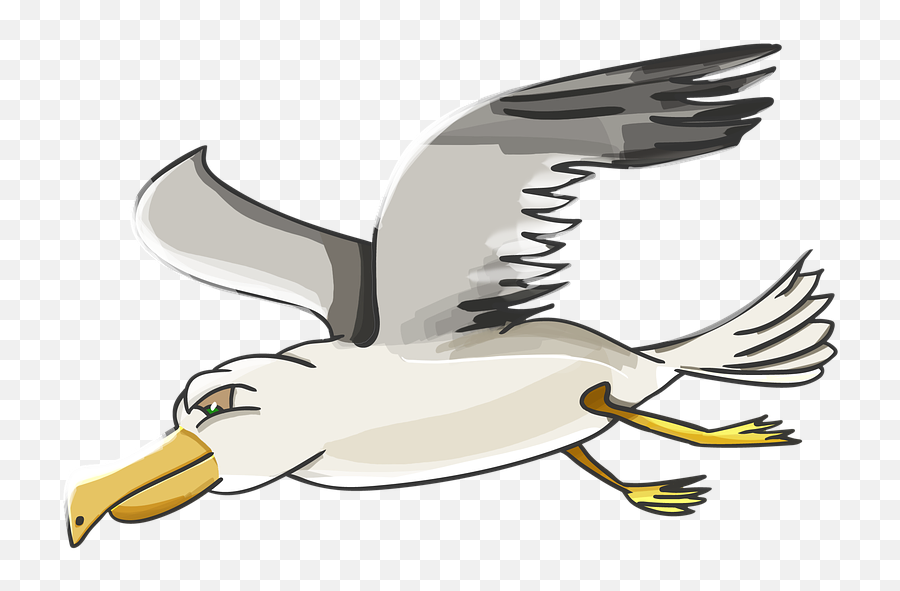 Seagull Clipart Png - Petrel Outlander Seagull Albatross Albatross Cartoon,Seagull Png