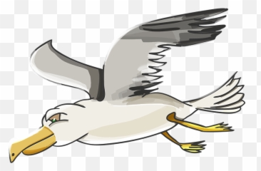 Seagull Clipart Png - Petrel Outlander Seagull Albatross Albatross Cartoon,Seagull Png